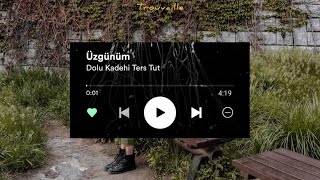 Dolu Kadehi Ters Tut - Üzgünüm (Lyrics) Resimi