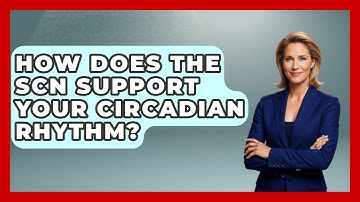 How Does The SCN Support Your Circadian Rhythm? - Functional and Integrative Wellness Guru