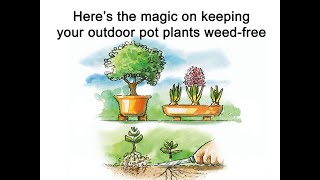 21.7 Outdoor pot plants - Weed management