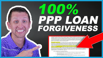 PPP Loan Forgiveness Safe Harbor Explained [paycheck protection program loan safe harbor]