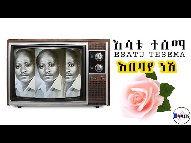 Esatu Tesema Abebaye Neshi እሳቱ ተሰማ አበባየ ነሺ @DawitTsige class=