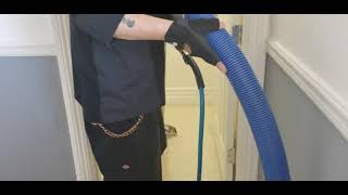 Las Vegas Carpet Cleaning