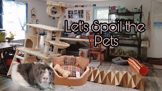 Cleaning, Rearranging and Spoiling the Pets!!! |VLOG| CAT TREES, TOYS AND MORE