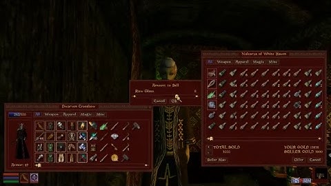 Me playing morrowind for 45 seconds untill it crashes