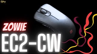 Better than I expected! (BenQ Zowie EC2-CW Review)
