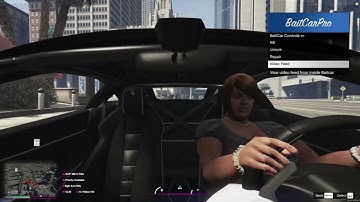 New City Roleplay | Bait car script preview.