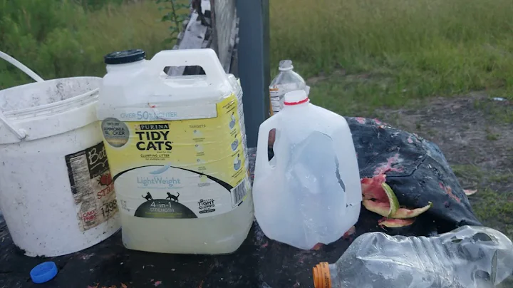 Ammo test: Remington 357 magnum 125 grain SJHP