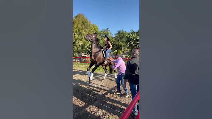 controlling the rearing horse by a beautiful lady #horseriding #horsepower #rearing