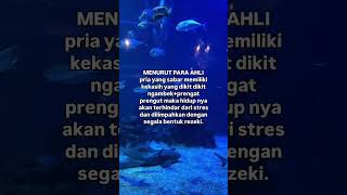Download Lagu tag seseorang #automobile #storygalau30detik #sadstory #storywa30detikgalau #quotes #storygalay MP3