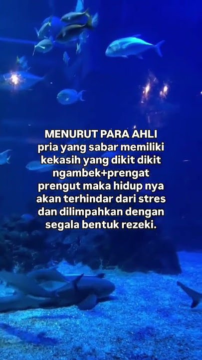 tag seseorang #automobile #storygalau30detik #sadstory #storywa30detikgalau #quotes #storygalay