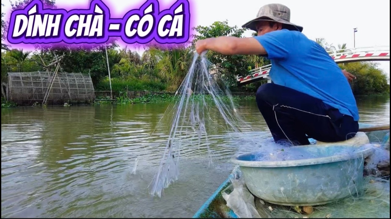 dính chà là có cá thật không ?