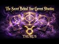 Taurus - The Hidden Message In Your Struggle - July 21, 2026