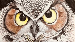 owl step paint beginners painting learn pencils