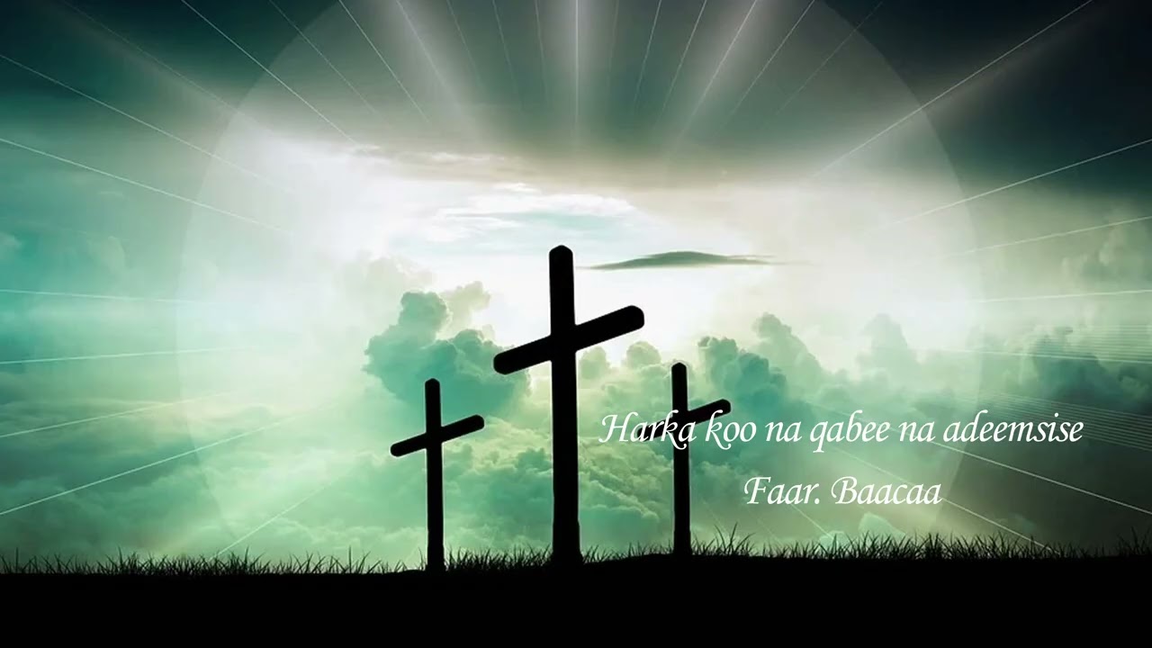 Harka koo na qabee na adeemsisee faar. Baacaa