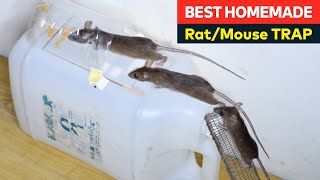 Easy mouse trap - Rat Traps | Best Homemade Mousetrap Ideas from Plastic Can