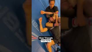 Triangle from turtle #jiujitsu #bjj #grappling #nogi #oss