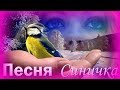 Синичка  - Песня про любовь - Очень симпатичная сага любви