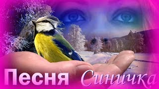 Синичка  - Песня про любовь - Очень симпатичная сага любви