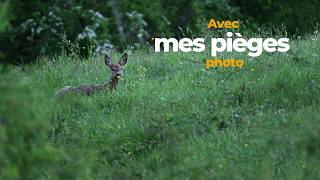 J'ai posé mes 2 pièges photo en forêt pendant 2 semaines !!