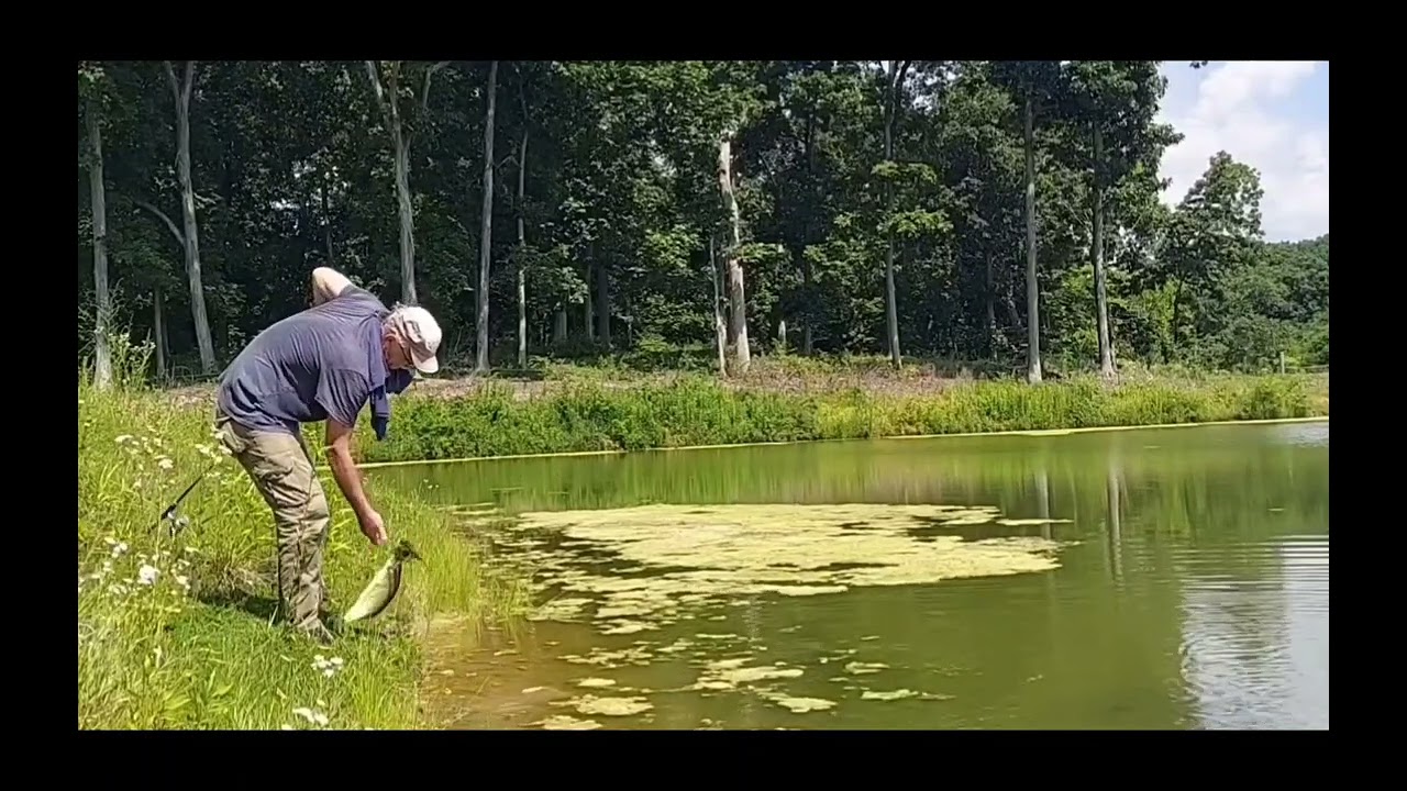 1ST OF JULY DEER SCOUTING AND BASS FISHING CHECK IT OUT