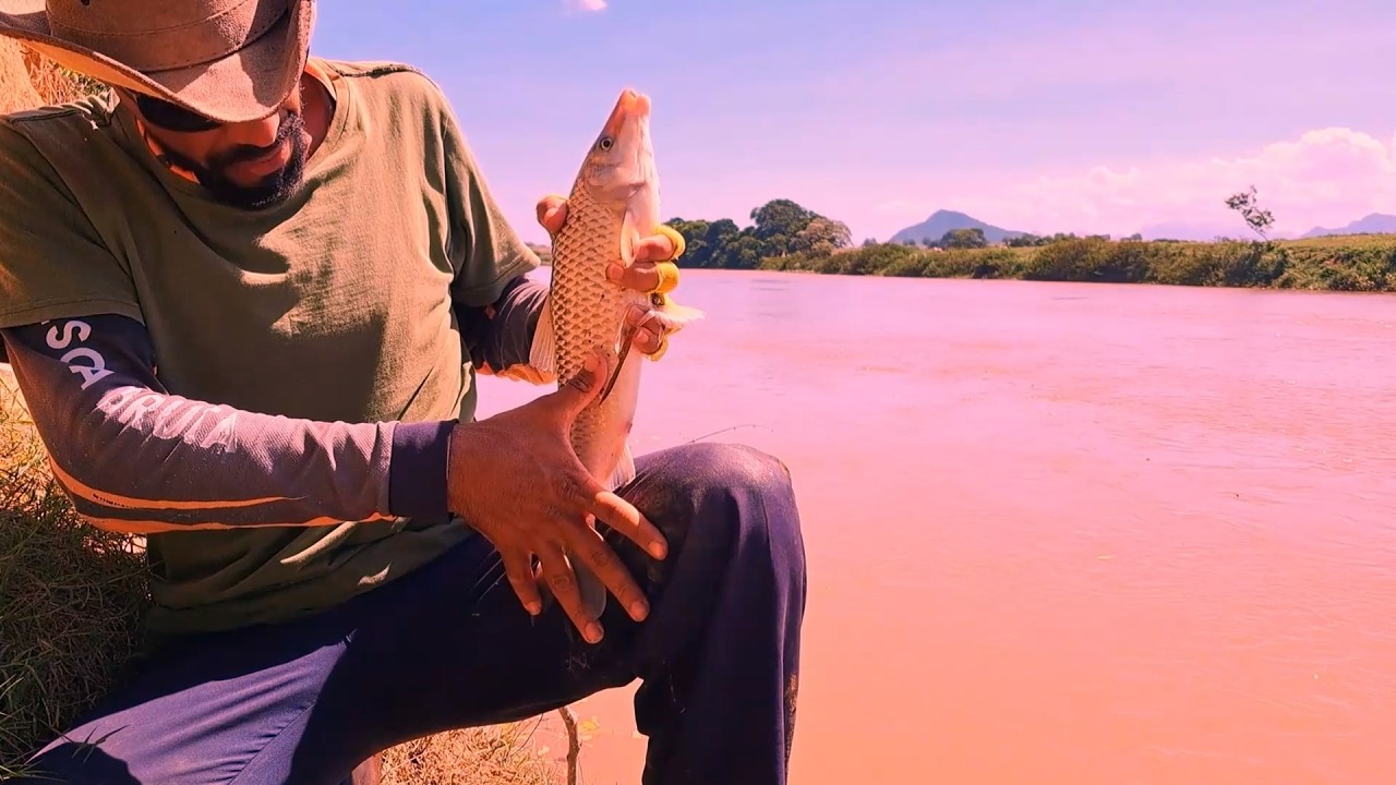 Não parava de bater! Tilápia, curimba e um gigante que apareceu no barranco