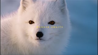 National Geographic Society: Harmony Awaits