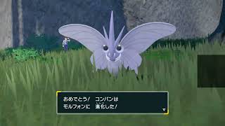 ただ新作ポケモンを楽しむ スカーレット バイオレット 2日目 ポケモンsv Youtube ただ新作ポケモンを楽しむ スカーレット バイオレット 2日目 ポケモンsv Youtube