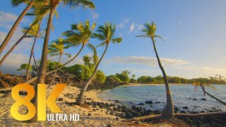 8K Relaxation Video - 3 HRS Incredible Diversity of the Big Island, Hawaii + Nature Sounds - Part #1