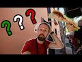 MIND BLOWN in OAXACA 🌮  | MEXICO TRAVEL VLOG 🇲🇽