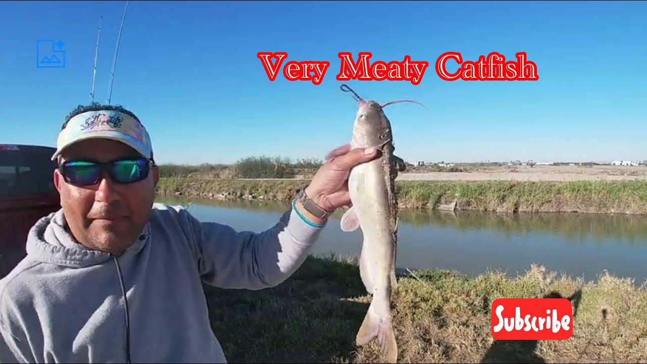 In the HUNT for RIVER MONSTERS ll Freshwater Fishing