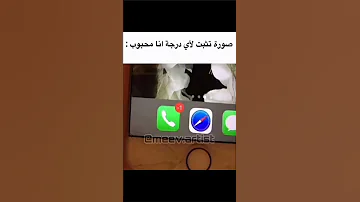 انت حلو انت قول انا اشلوني ميمز الصحراء P5 