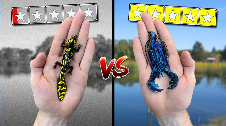 WORST LURES vs BEST LURES Bass Fishing Challenge! ...