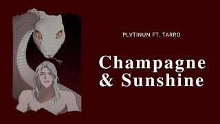 Champagne & Sunshine - PLVTINUM ft. Tarro (Empty arena)