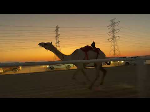 الوافيه وافي ابراهيم العديساني الشوط الاول ورئيسي من مسافه 5 الجذاع البكار 7 57