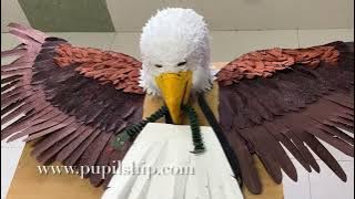 Eagle wings DIY | how to make eagle | how to make bird craft | angle wings | eagle dress DIY