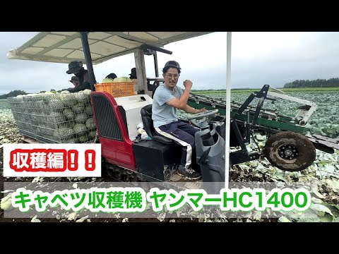 【発送通知付き】 キャベツ農家になろう！　ギャイア3枚　 ロマネアース　4枚 発送通知付き】 キャベツ農家になろう！ ギャイア3枚 ロマネ