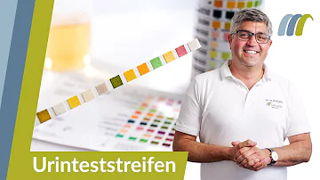 Welche Bakterien kann man im Urin feststellen?