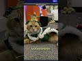 My Friend Sent Me Pictures Of His Cat 😸