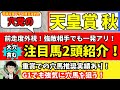 【穴党の天皇賞・秋2024】人気上位馬以外の2頭の馬に注目！！穴党が天皇賞（秋）で狙いたい馬を紹介！