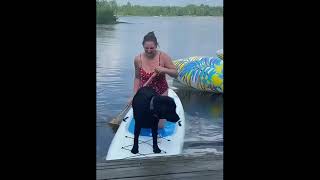 #reactionvideo #reactions #omg #wtf #unexpected #no_way#respectmoment #respectpost #kindness