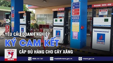 Yêu cầu doanh nghiệp ký cam kết cấp đủ hàng cho cây xăng - VNEWS
