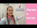 Рабочие Будни! Суккулент! | Жизнь в Китае 2/17