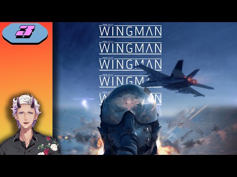 Project Wingman: Maybe there is another way?