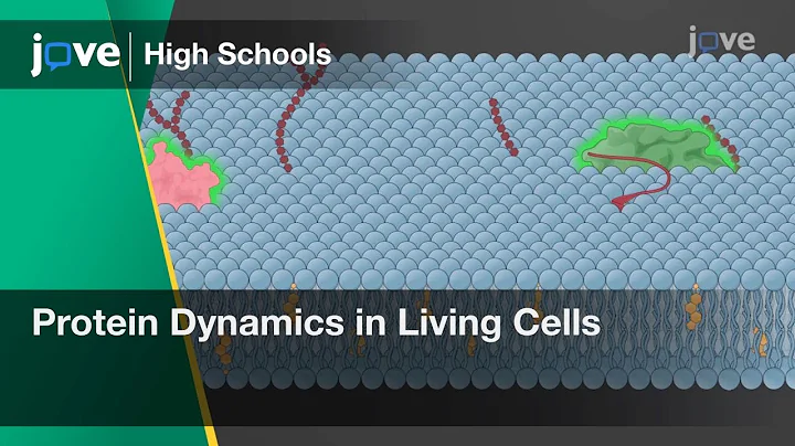 Protein Dynamics in Living Cells | Cell Bio | Video Textbooks - Preview