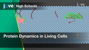 Protein Dynamics in Living Cells | Cell Bio | Video Textbooks - Preview