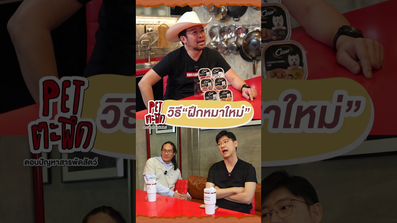 "วิธีฝึกหมาใหม่" เข้าบ้านครั้งแรก!!
