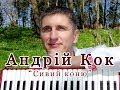 Андрій Кок - Сивий коню (Весільні пісні)