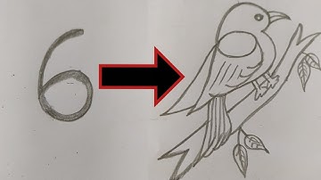 How to draw Bird from number 6 || Bird drawing step by step easy || 6 Bird drawing