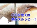 魚の鱗取り、飛ばないようにする方法とは？〇〇を使えば飛び散ることなくスルッと・・・