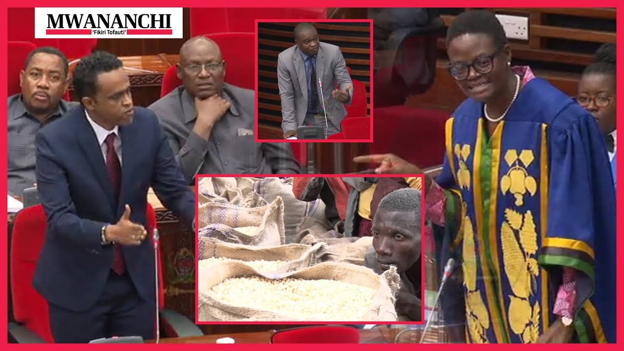 TAFURANI Bungeni, sakata la bei ya MAHINDI, Spika ambananisha Bashe, Mbunge ataka Bunge liahirishwee